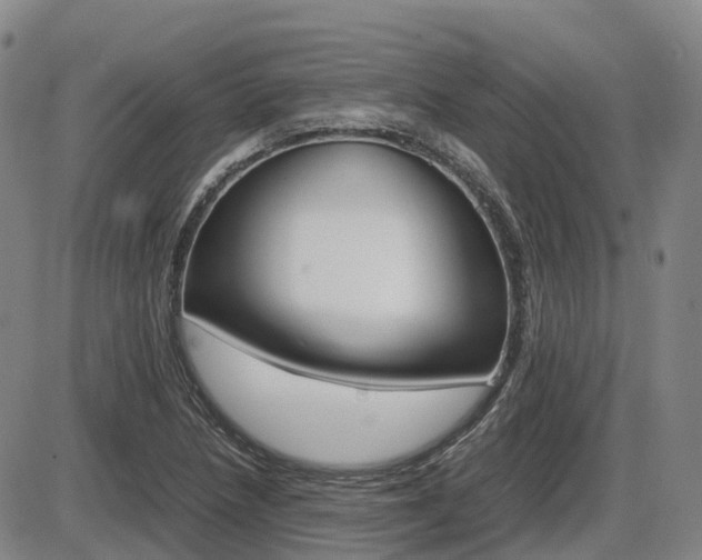 X0000086331218200703300922