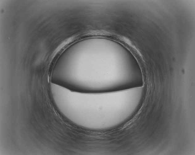 X0000086331221200703300922