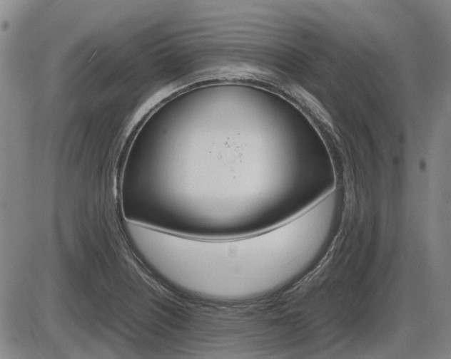 X0000086331226200703300922