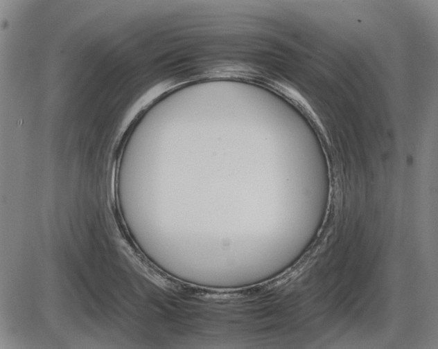X0000086331227200703300922