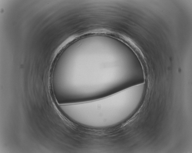 X0000086331229200703300922