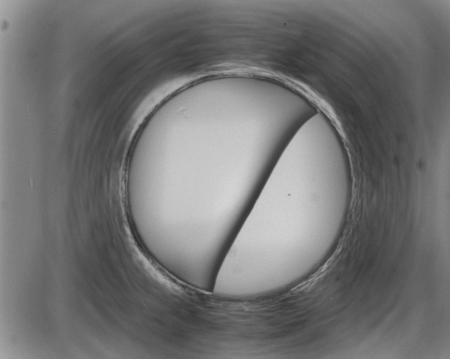 X0000086331239200703300922
