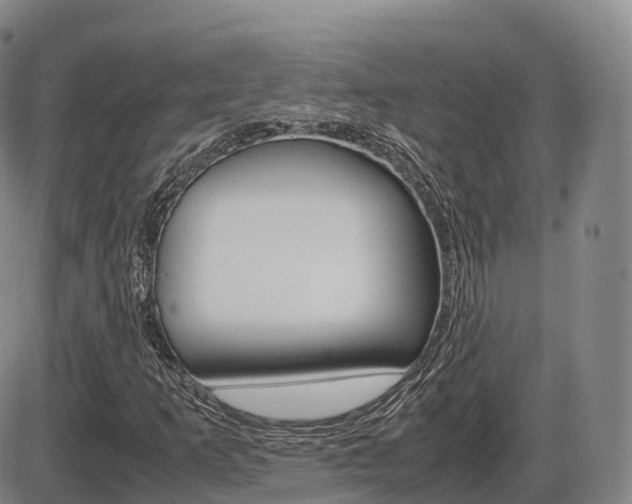 X0000086331253200703300922