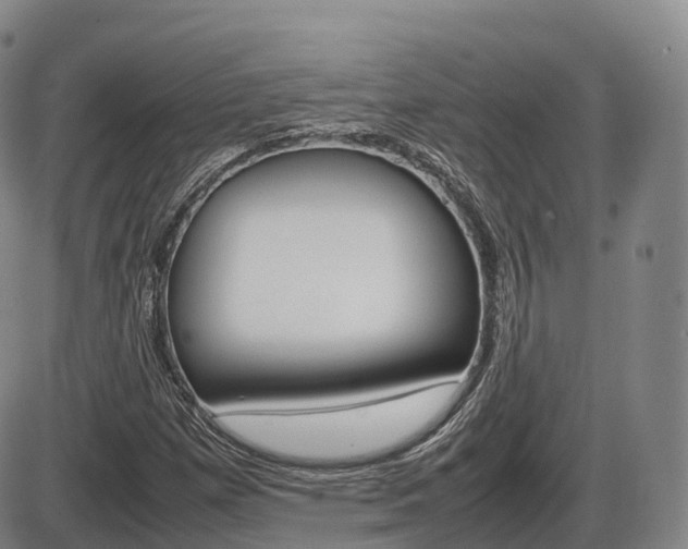 X0000086331257200703300922