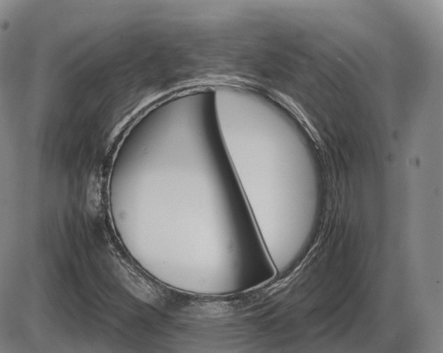 X0000086331260200703300922