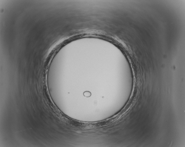 X0000086331263200703300922