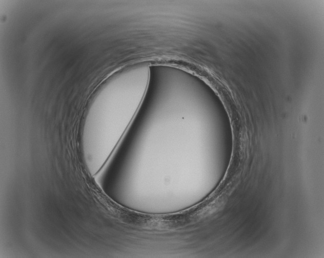 X0000086331265200703300922