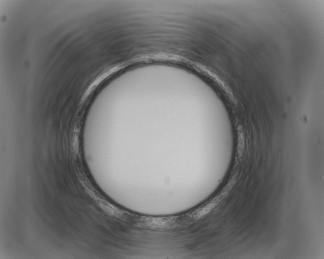 X0000086331266200703300922
