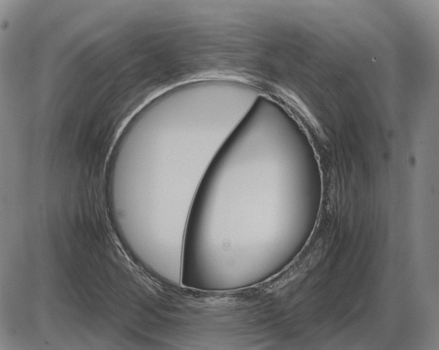 X0000086331268200703300921
