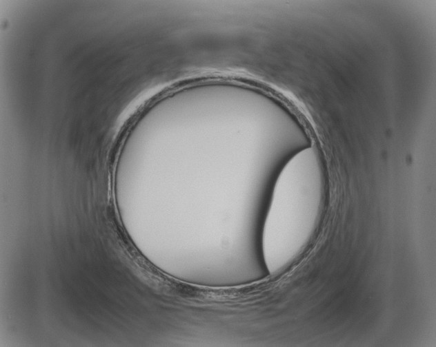X0000086331271200703300921
