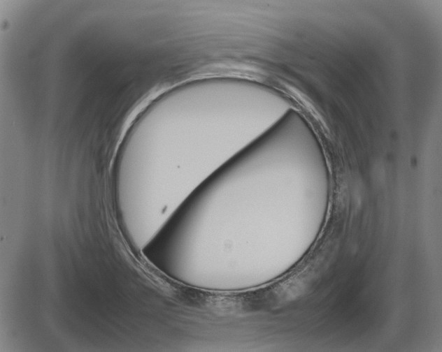 X0000086331275200703300921