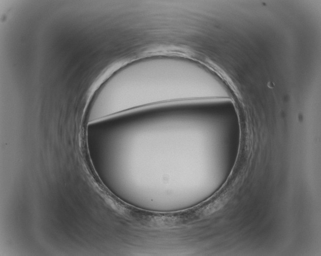 X0000086331277200703300921