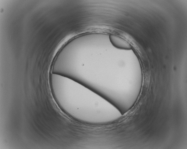 X0000086331283200703300921