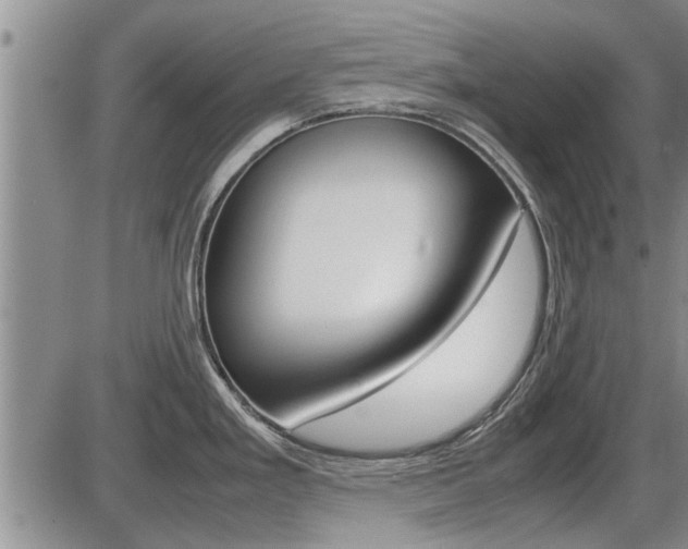 X0000086331293200703300921