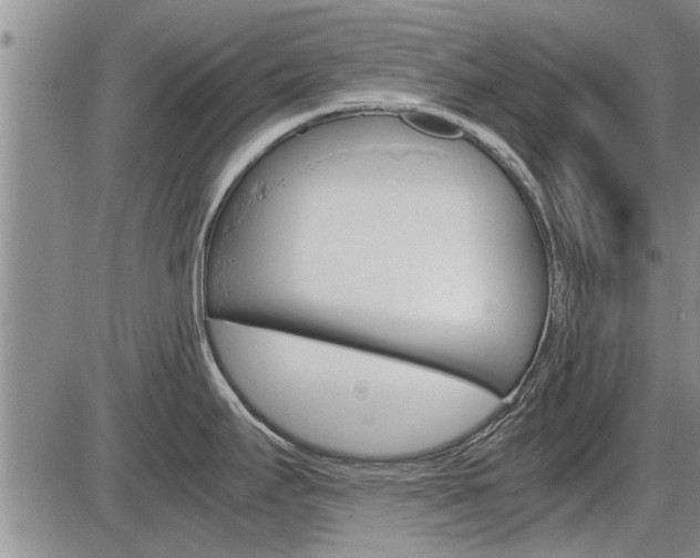 X0000086331295200703300921