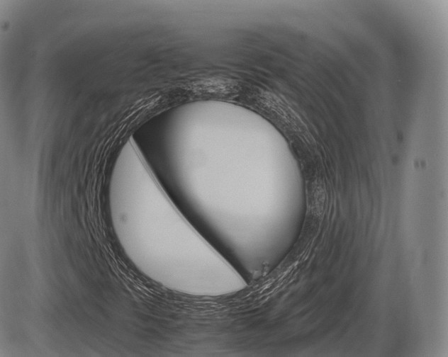 X0000086331297200703300920