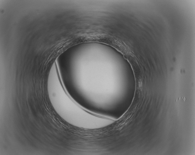 X0000086331300200703300920