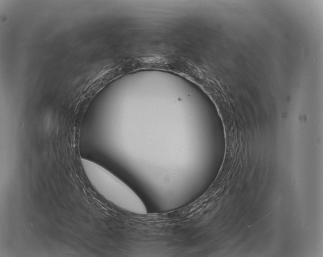 X0000086331301200703300920