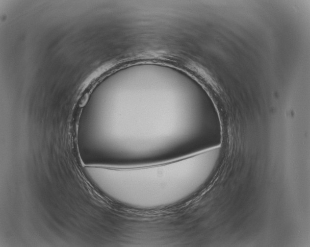 X0000086331308200703300920