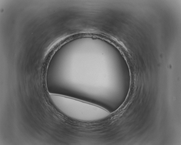X0000086331311200703300920
