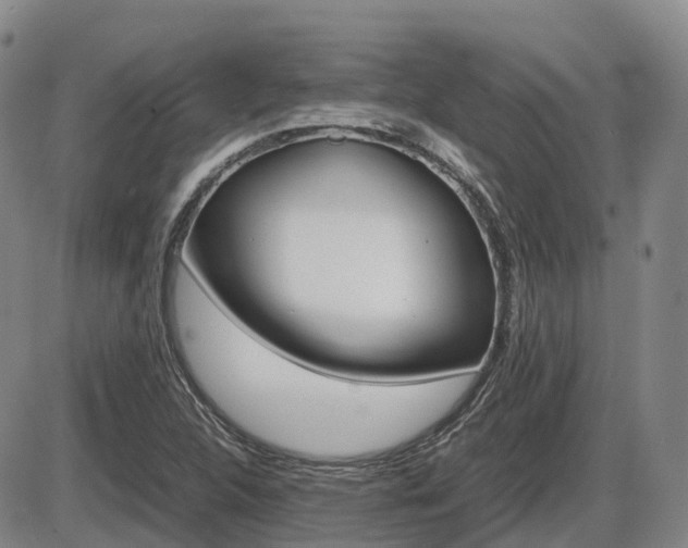 X0000086331312200703300920