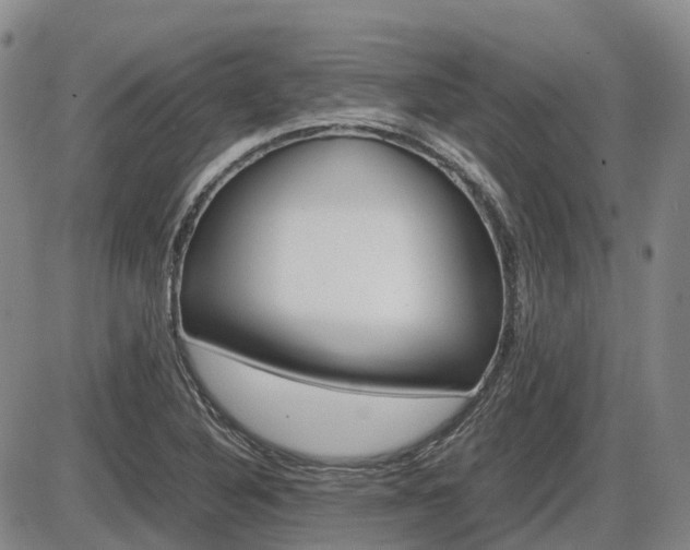 X0000086331316200703300921