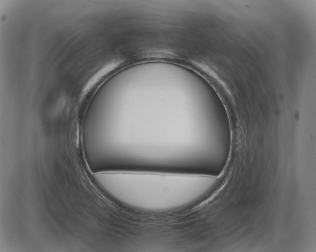 X0000086331317200703300921