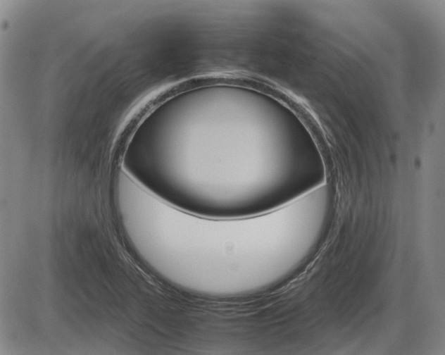 X0000086331319200703300921