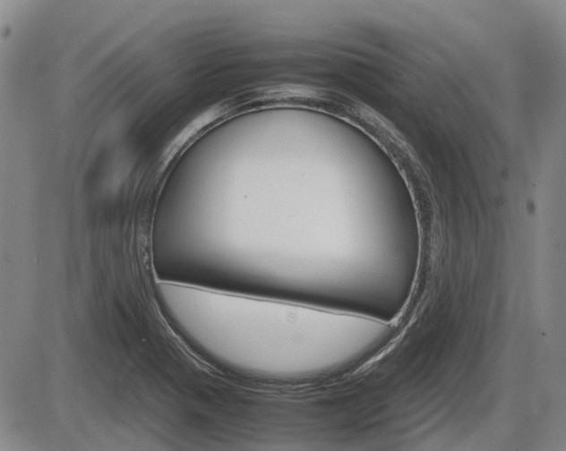 X0000086331321200703300921