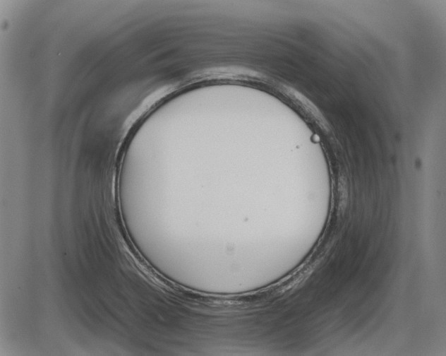 X0000086331322200703300921