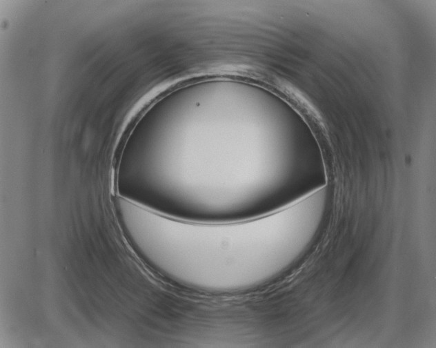 X0000086331324200703300921