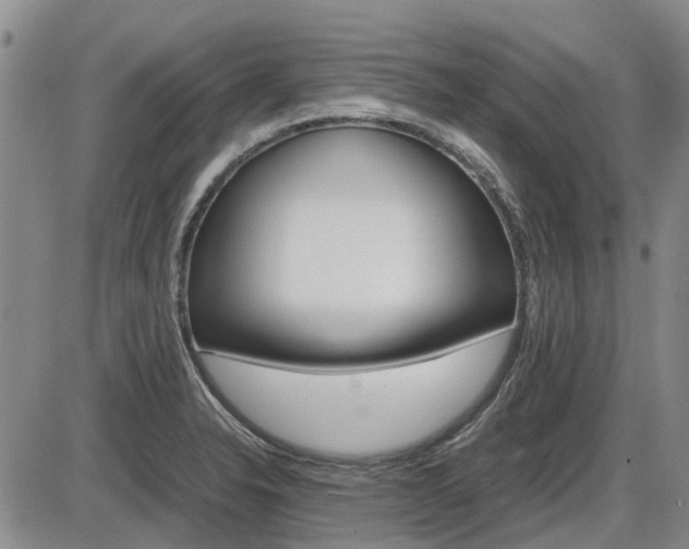 X0000086331326200703300921