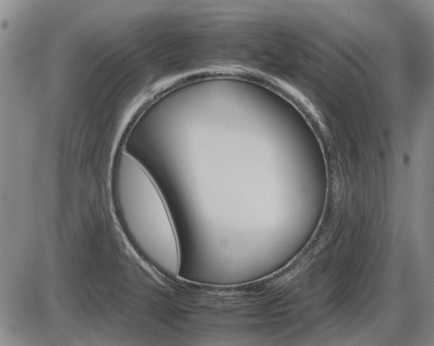 X0000086331327200703300921