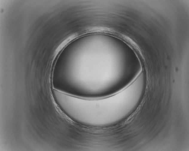 X0000086331330200703300921