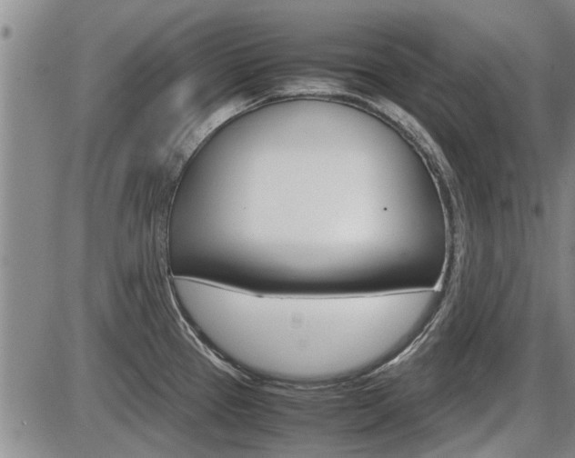 X0000086331337200703300921