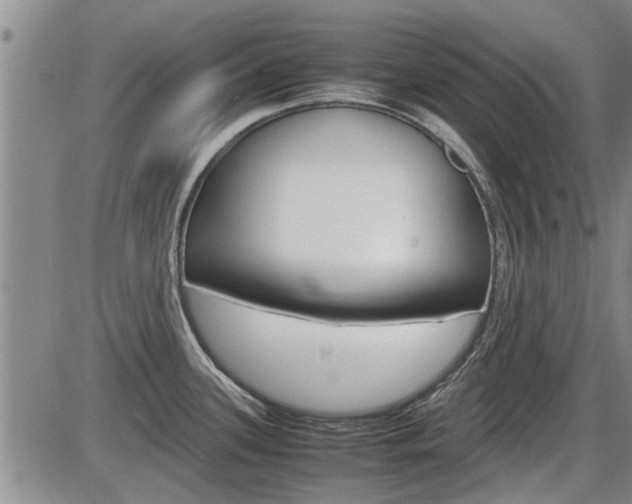 X0000086331339200703300921