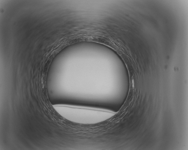 X0000086331347200703300920