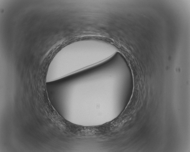 X0000086331351200703300920