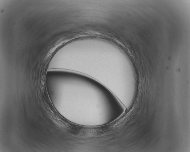 X0000086331355200703300920