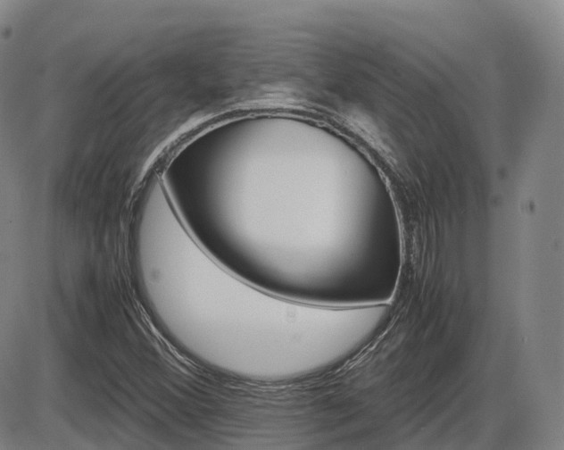 X0000086331356200703300920