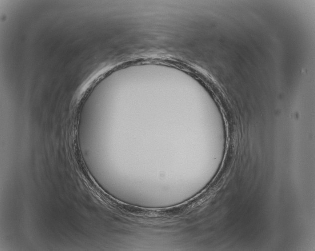 X0000086331359200703300920
