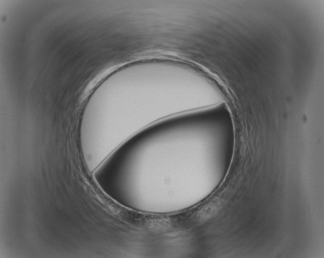 X0000086331363200703300920