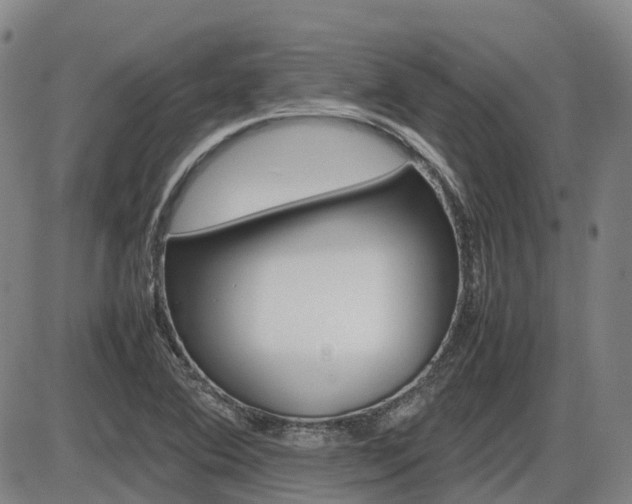 X0000086331364200703300920