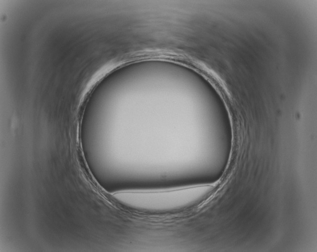 X0000086331365200703300920