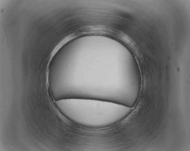 X0000086331370200703300920