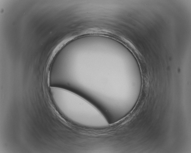 X0000086331371200703300920