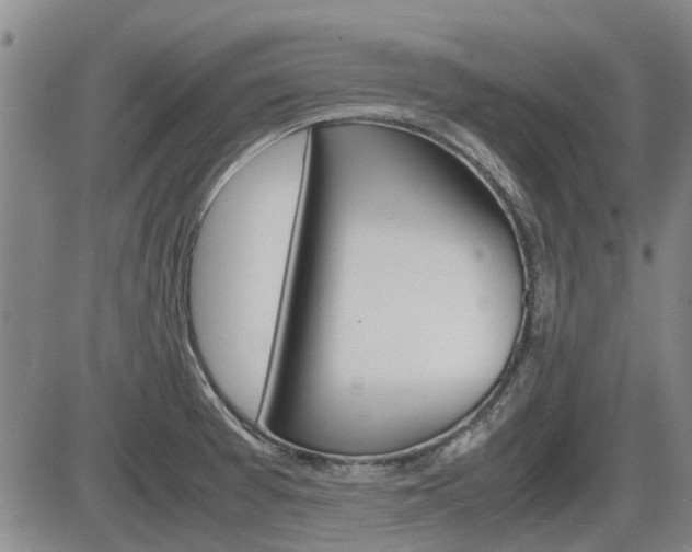 X0000086331377200703300920