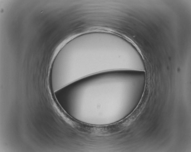 X0000086331379200703300920