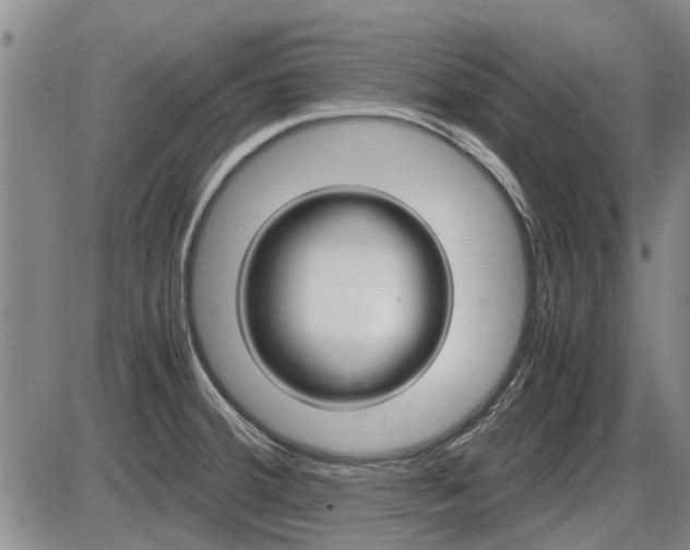 X0000086331380200703300920