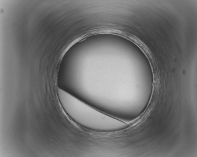 X0000086331385200703300920